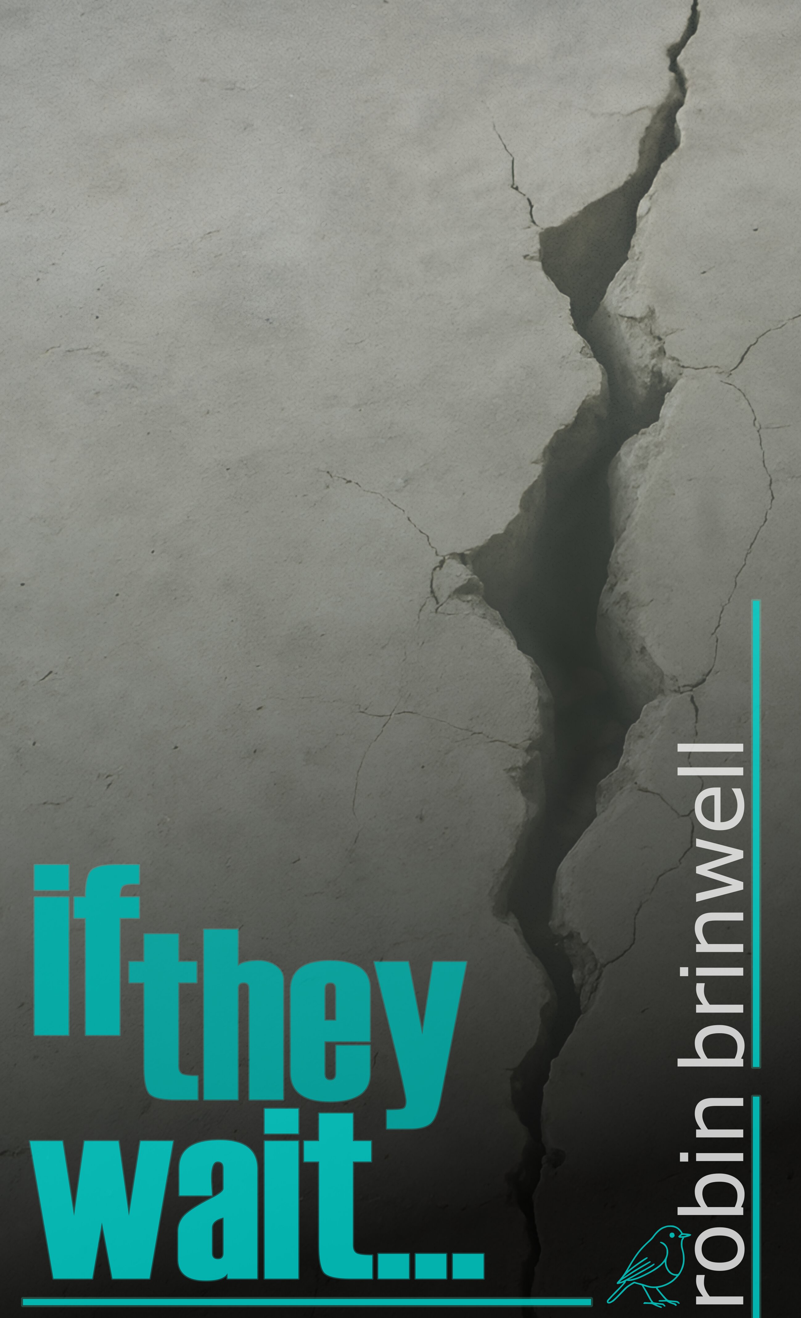 if they wait book cover