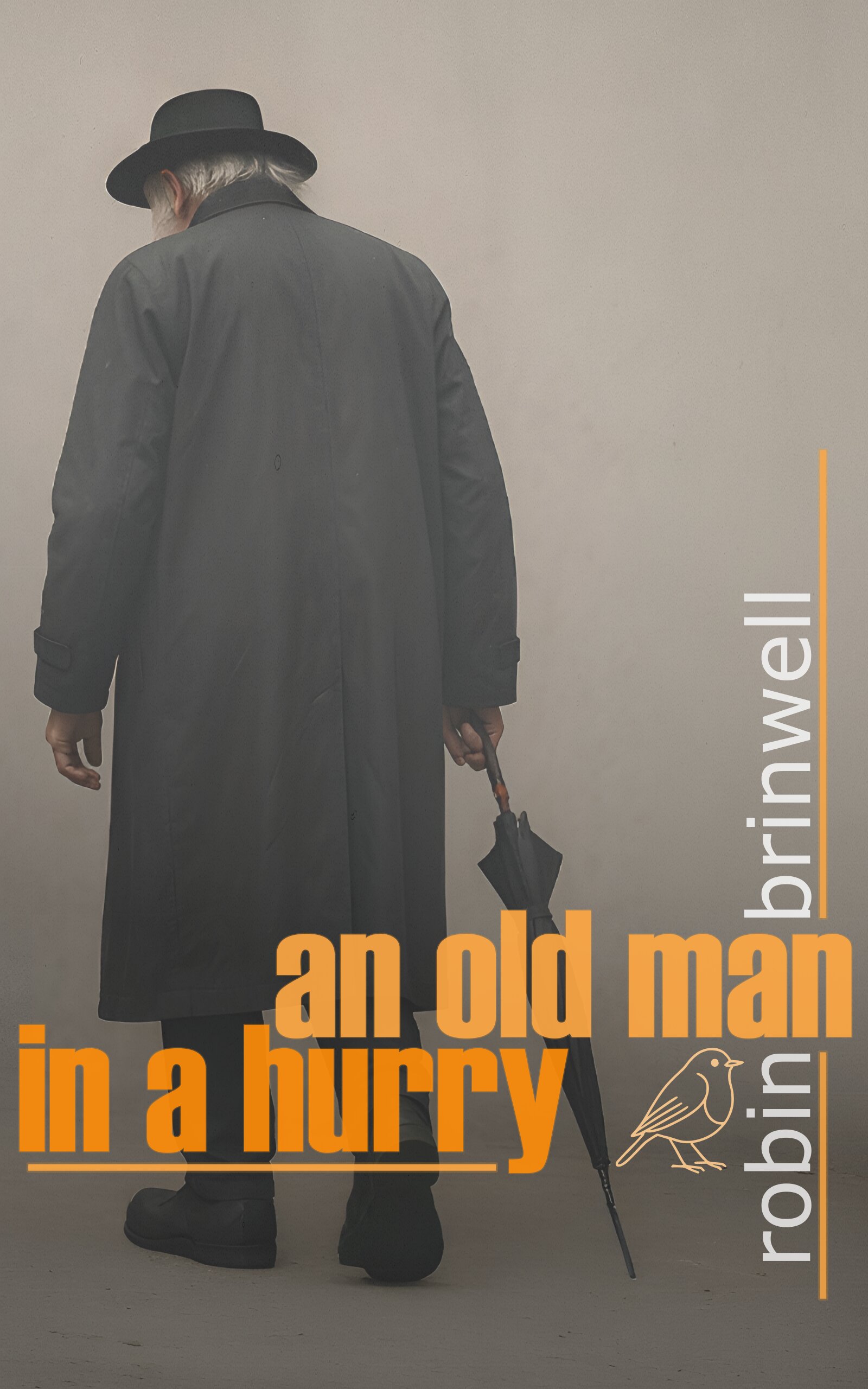 an old man in a hurry book cover